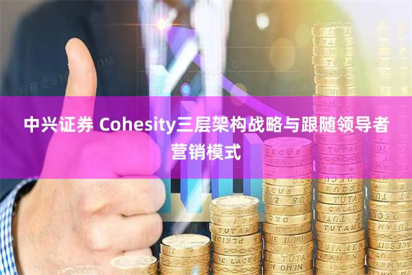 中兴证券 Cohesity三层架构战略与跟随领导者营销模式