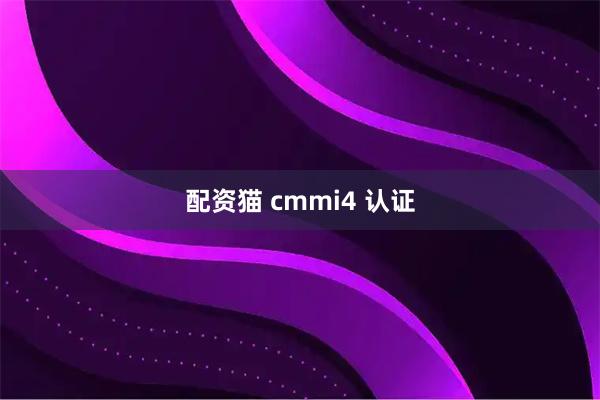 配资猫 cmmi4 认证