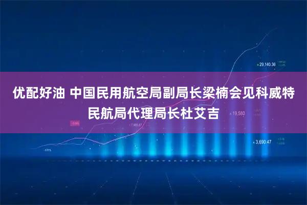 优配好油 中国民用航空局副局长梁楠会见科威特民航局代理局长杜艾吉