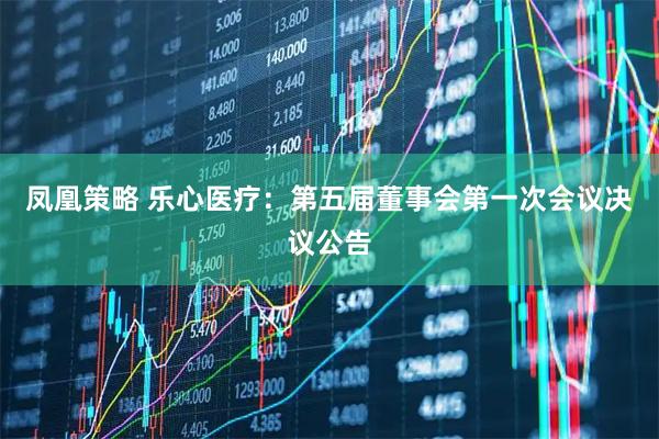 凤凰策略 乐心医疗：第五届董事会第一次会议决议公告