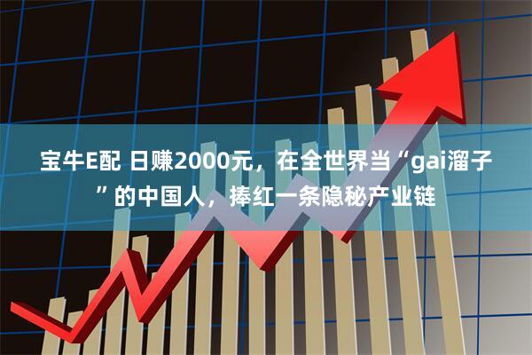 宝牛E配 日赚2000元，在全世界当“gai溜子”的中国人，捧红一条隐秘产业链