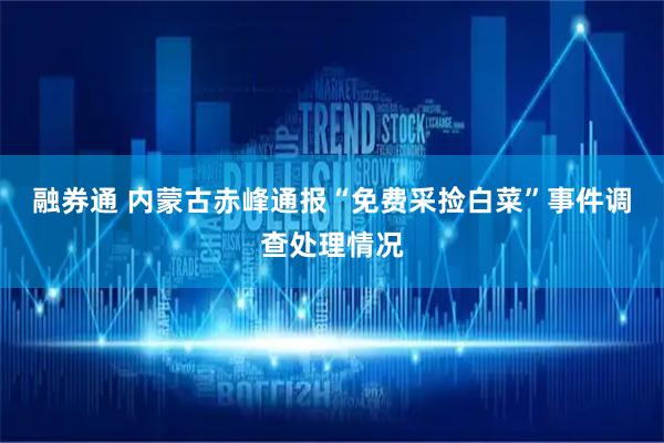 融券通 内蒙古赤峰通报“免费采捡白菜”事件调查处理情况