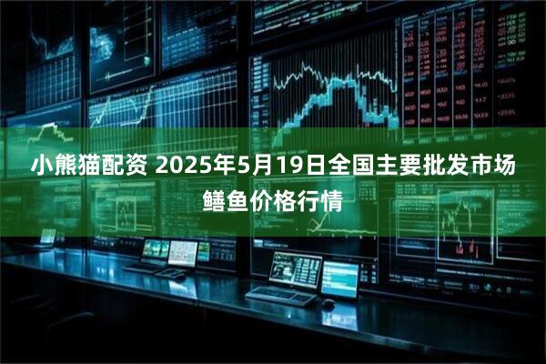 小熊猫配资 2025年5月19日全国主要批发市场鳝鱼价格行情