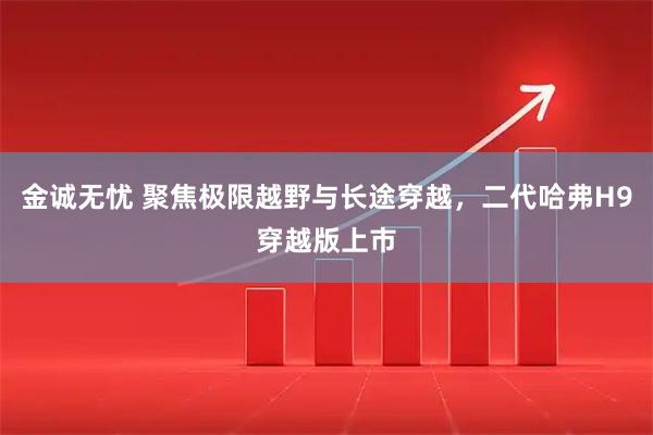 金诚无忧 聚焦极限越野与长途穿越，二代哈弗H9穿越版上市