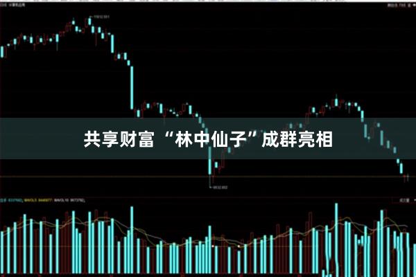共享财富 “林中仙子”成群亮相