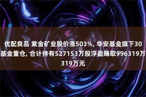 优配良品 紫金矿业股价涨503%, 华安基金旗下30只基金重仓, 合计持有527153万股浮盈赚取996319万元