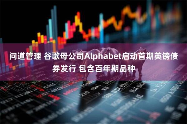 问道管理 谷歌母公司Alphabet启动首期英镑债券发行 包含百年期品种