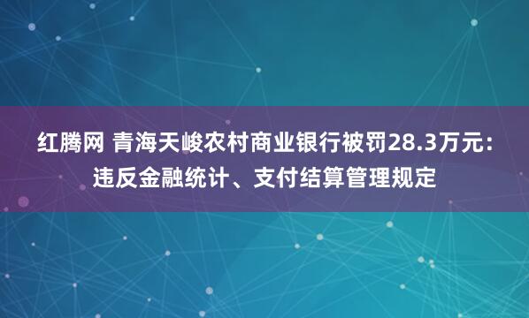 红腾网 青海天峻农村商业银行被罚28.3万元：违反金融统计、支付结算管理规定