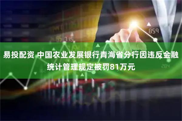 易投配资 中国农业发展银行青海省分行因违反金融统计管理规定被罚81万元