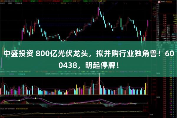中盛投资 800亿光伏龙头，拟并购行业独角兽！600438，明起停牌！