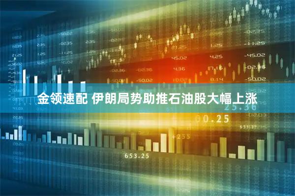 金领速配 伊朗局势助推石油股大幅上涨